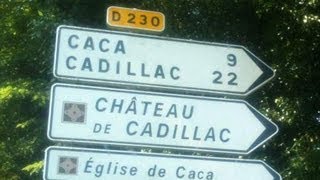 Cover art for stupeflipe - the cadillac theory