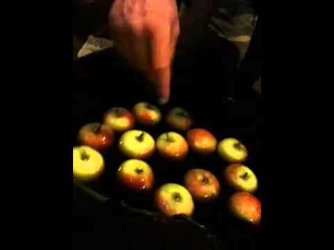 Dog ducking for apples!!!