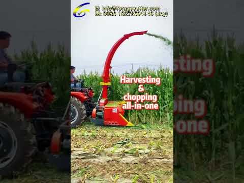 Most Popular Tractor-Mounted Silage Harvester Chopper