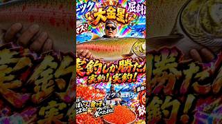 オホーツク海！鮭釣り開幕！ #fishing #ショアジギングロッド #オホーツク #料理 #陸釣り #北海道　#道東　#鮭　#サーモンラン  #サーモン