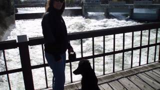 Carla Bley Zappa Madison Final