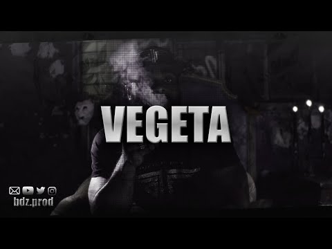 Kaaris x Therapy Type Beat "VEGETA" Instru Rap Sombre 2023 (Prod. bdzMusic)