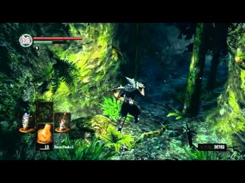 dark souls darkroot basin to darkroot garden