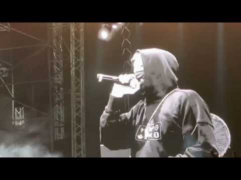 #Alan walker live show in Gurugram 17/4/2022  #sunburn Arena India