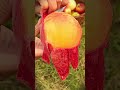 simple technique to peel very ripe peaches without using tools #shorts
