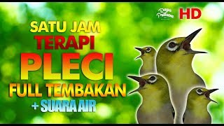 Download lagu TERBARU TERAPI PLECI BUKA PARUH FULL TEMBAK   SUARA AIR HD mp3