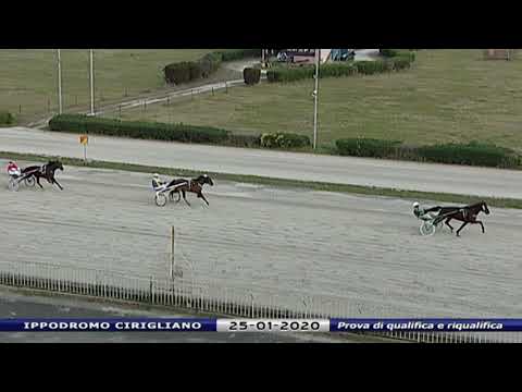 Aversa trotto 25 Gennaio 2020 - Prova di qualifica e riqualifica