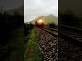 Beautiful Train Scene Beauty Nature Trains