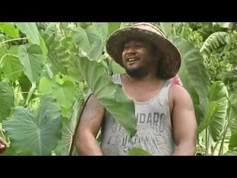 SAMOA ENTERTAINMENT - FO'I LE TAMA FARMER (EPISODE # 1) Invite friends & Family to Subscribe