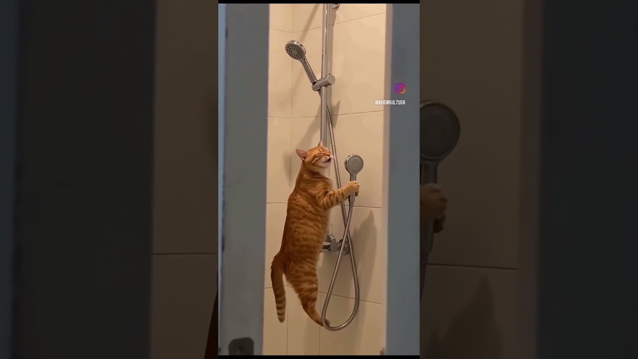 That Kitty is Purring! 😂