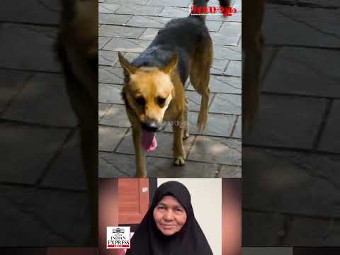 ഹൃദയം തൊടും ഈ കഥ; ആമിനക്കരികില്‍നിന്നു മാറാതെ എടവണ്ണയിലെ 'ഹാച്ചിക്കോ | Edavanna | Malappuram