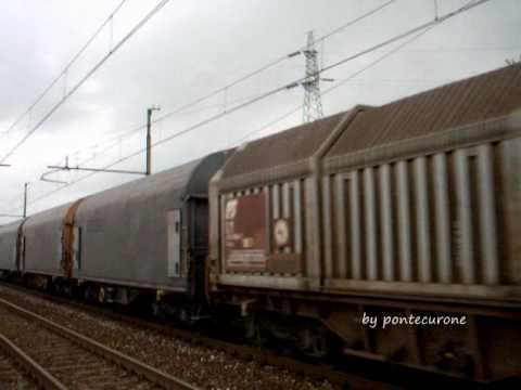 DUE MERCIONI VISTI OGGI...