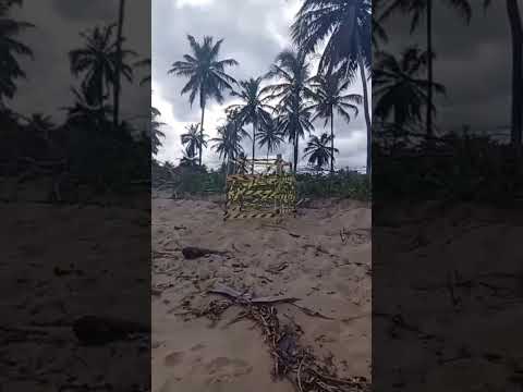 praia de Sirinhaém Pernambuco