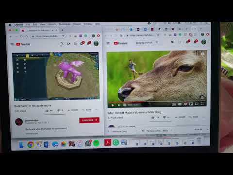 backpack for his saturday shorts