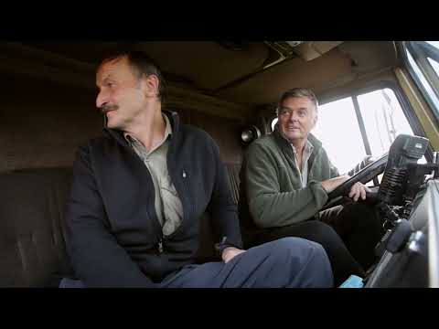 Tiere vor der Kamera