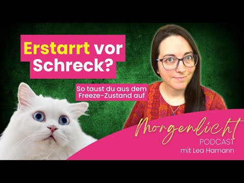 Blockiert? Freeze-Zustand verstehen & auflösen