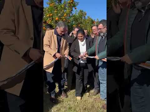 Lanzamiento Zafra Citrícola 2026, y de la nueva campaña "Uruguay Protege sus Cítricos del HLB".