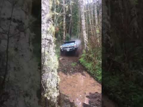 1977 Ford F-150 Ranger On 37s Found A Mud Hole!