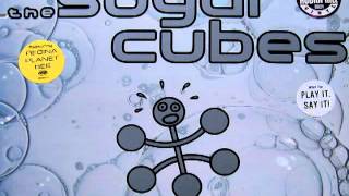 Hot Meat- The Sugarcubes