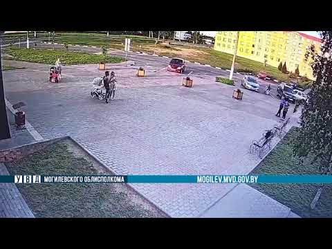 Κοράκι κλέβει το πορτοφόλι από τσάντα!