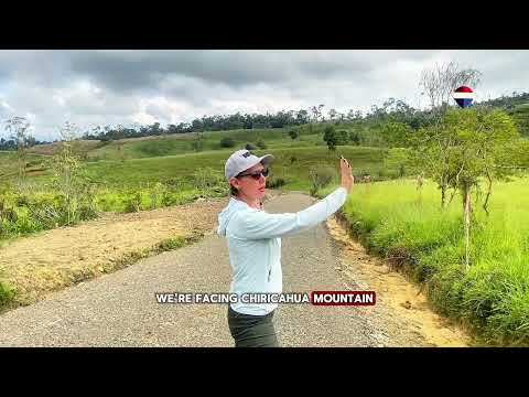 img-video