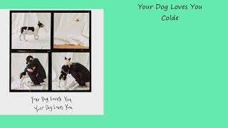 Colde (콜드) - Your Dog Loves You ft. Crush 1시간 (1HOUR)