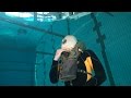 https://www.youtube.com/watch?v=CowjpZDtNlE