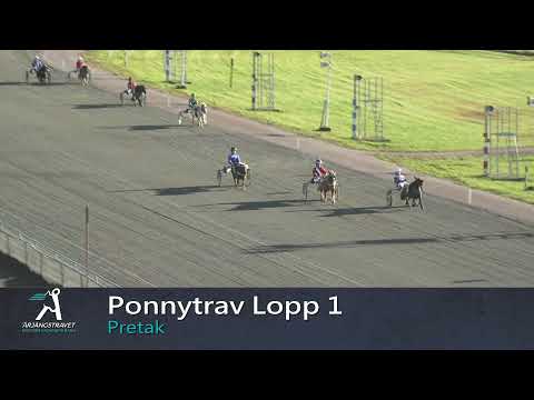 Ponnytrav Lopp 1 - 2021-11-06