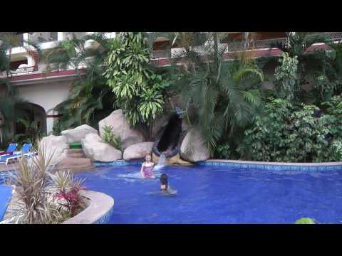 Videos del Barceló Puerto Vallarta 4★ en Puerto Vallarta, México
Ver Más
Ver
Precios
18
Cerrar
Consulta por Whatsapp 🇦🇷
Booking
Tripadvisor
Expedia
Travelocity
Orbitz
Priceline
Trip
Skyscanner
Kayak
Hoteles
Destinia
Trivago
Turismocity
Lastminute
Hotwire
Cheaptickets
Tui
Wotif
