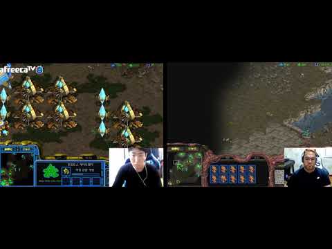 Snow vs Larva PvZ @ Fighting Spirit [2017-11-01]