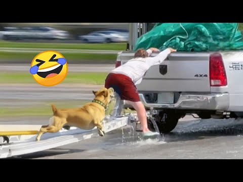 TRY NOT TO LAUGH 😆 Best Funny Videos Compilation 😂😁😆 Memes PART 246