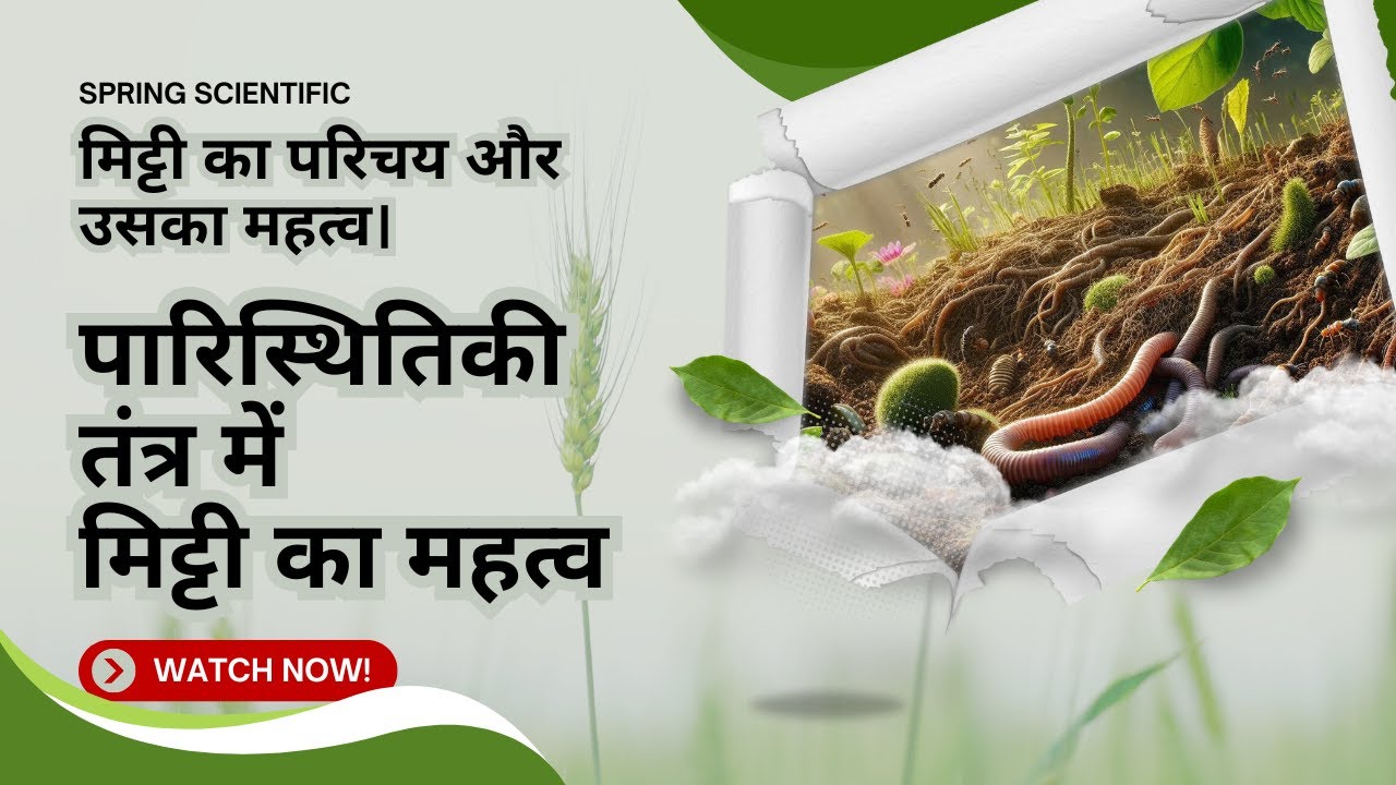 Spring Scientific | मिट्टी: जीवन की नींव और पारिस्थितिकी तंत्र में इसकी महत्वपूर्ण भूमिका का अन्वेषण