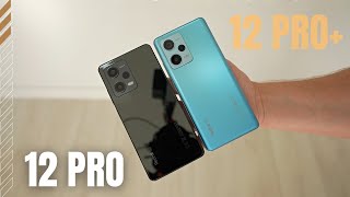 Xiaomi Redmi Note 12 Pro vs Xiaomi Redmi Note 12 Pro+ - Which Xiaomi is Best For You?