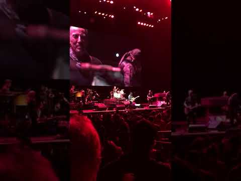 SPRINGSTEEN NILS LOFGREN BECAUSE THE NIGHT SOLO