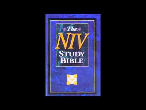 The Book of 1st Samuel (NIV Audio Bible Non Dramatized)