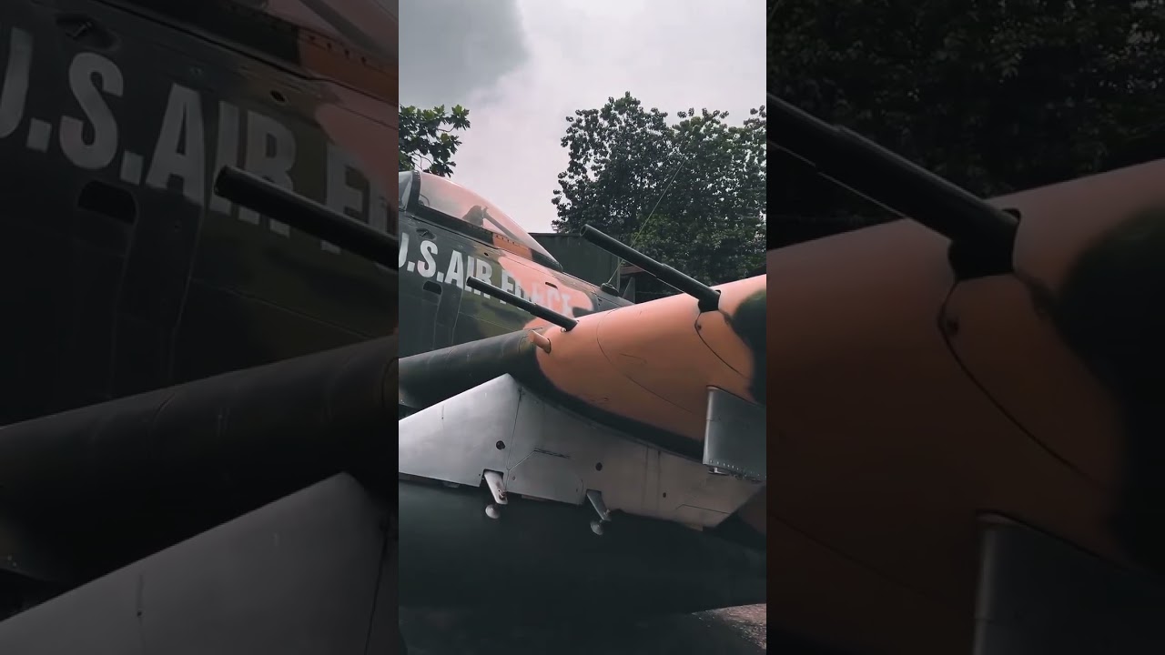 YouTube Short thumbnail