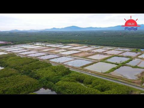 HKH COMPANY VIDEO 海记行集团