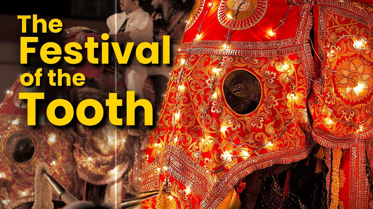 Experience an insightful virtual tour of Kandy Esala Perahera.