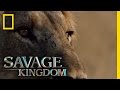 Matsumi: The New Queen | Savage Kingdom