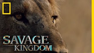 מאטסומי: המלכה החדשה | ממלכת הפראים