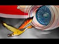 What Happens When a Bird Flies Into a Plane Engine