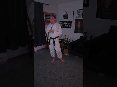 Most underrated karate kick!