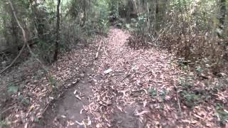 preview picture of video 'Downhill section into rainforest at Killingworth'