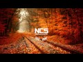 Crooked Colours - Step 