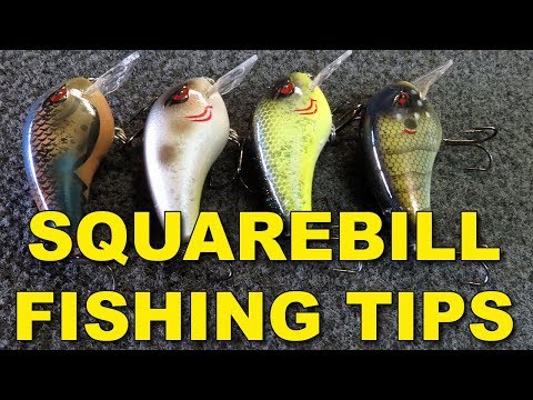 How To Fish Squarebill Crankbaits for Bigger Bass - Line, Rod, Retrieves | Bass Fishing