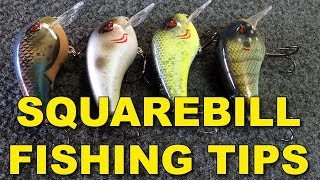 How To Fish Squarebill Crankbaits for Bigger Bass - Line, Rod, Retrieves | Bass Fishing