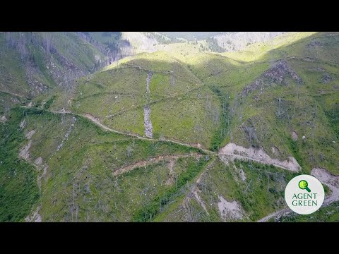 Plantare Făgăraș — Ecosisteme distruse