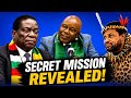 GOOD NEWS KING MISUZULU S Secret Mission To Zimbabwe Finally Explained