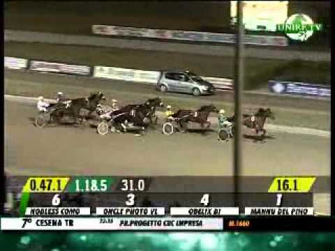 Ippodromo di Cesena - centrale di sabato 6 luglio 2013 - vittoria di Oncle Photo Vl