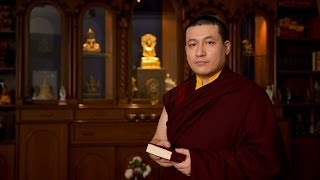 Official address: The Passing of His Holiness Kunzig Shamar Rinpoche